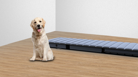Vollkörper-Vibrationsmassage Mat 5 Modus Ems Massage Mat